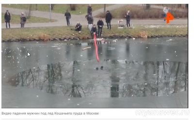 Что случилось на Кошачьем пруду в Москве 3 декабря 2024 года?