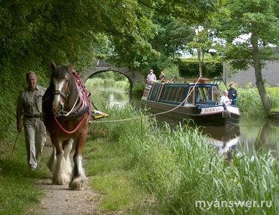 Как бурлаки на Волге тянули баржу, она же непременно упрётся в берег?