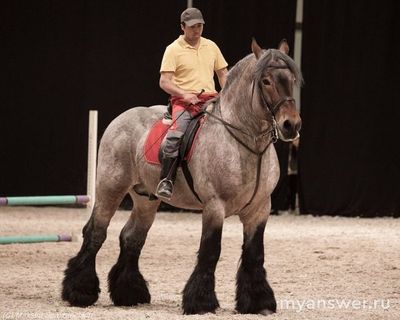 Как бурлаки на Волге тянули баржу, она же непременно упрётся в берег?