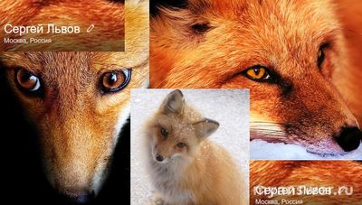 По какому принципу авторы Большого Вопроса выбирают свои аватарки?