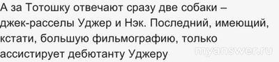 Какой песик стал Тотошкой в фильме "Волшебник изумрудного города"2025?