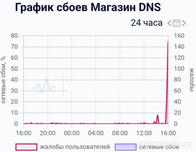 Не работает сайт магазина DNS 29-30.11.2024, почему, что делать?