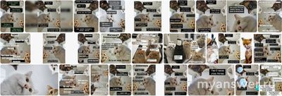 Можно ли назвать мемы народным творчеством 21 века?