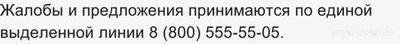 Не работает приложение Пятёрочка 28.11.24 и 29.11.24, почему, что делать?