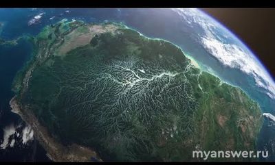 Как называется река, протекающая через бразильские тропические леса?