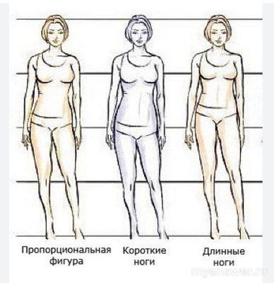 Почему у мужчин в приоритете длинноногие женщины?