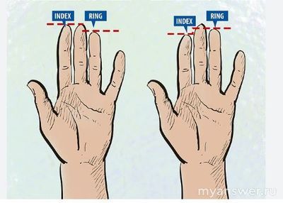 Почему у мужчин в приоритете длинноногие женщины?