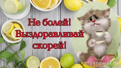 Какая разница между словами: "Выздоравливайте" и "Поправляйтесь"?