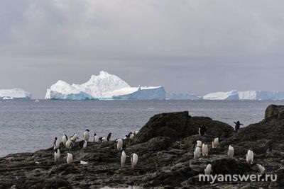 Какое море в Антарктике получило современное название в 1962 году?