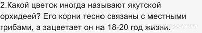 "Ближе к Дальнему" Учи ру 19.11.24 какие ответы для 1-11 кл., где смотреть?