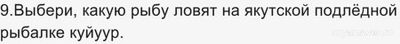 "Ближе к Дальнему" Учи ру 19.11.24 какие ответы для 1-11 кл., где смотреть?