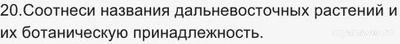 "Ближе к Дальнему" Учи ру 19.11.24 какие ответы для 1-11 кл., где смотреть?