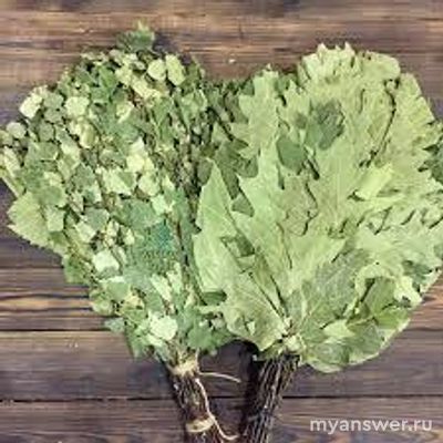 Чем отличается банный дубовый веник от березового?