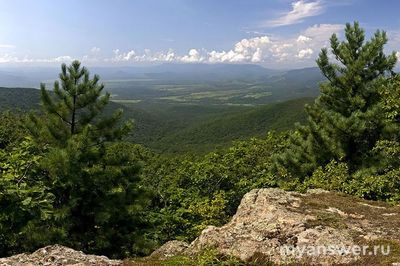 Какие заповедники на Дальнем Востоке?