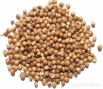 Мужчины, какая ваша самая любимая специя и почему?