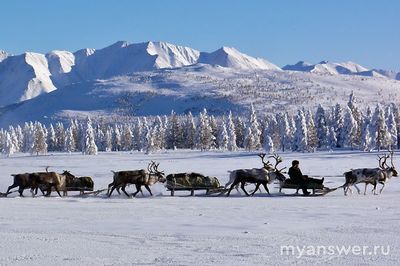 Что означает слово "эвенки" в переводе на русский язык?