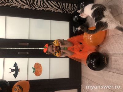 Почему в России до сих пор не запретили Хэллоуин?