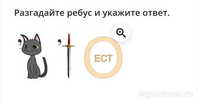 Как разгадать ребус из Патриотического диктанта 2024 с кошкой, мечом?