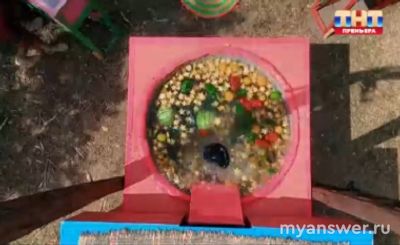 "Звезды в джунглях" 17.11.24.Кто покинул проект Алибутаев или Дима Сорокин?