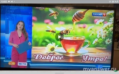 Стоит ли верить сообщению о вирусах в картинках, пересылаемых по вацапу?