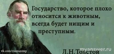 Почему в нашем государстве люди негативно относятся к бездомным животным?