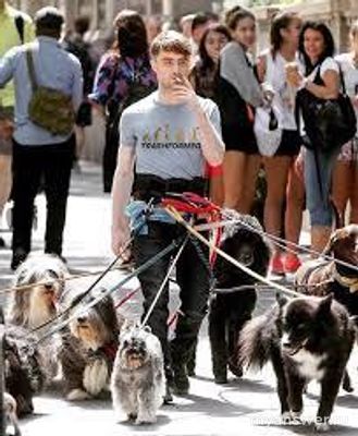 Почему в нашем государстве люди негативно относятся к бездомным животным?