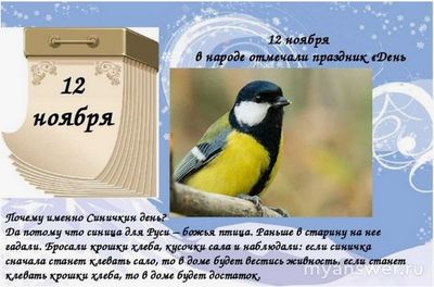 Как встречают праздник "Синичкин день "?
