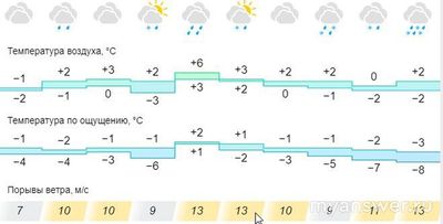 Почему на улице минус и ветер, а мухи летают?
