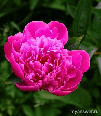 Как избавиться от никчемности своего бытия?