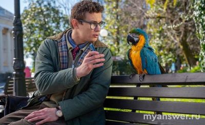 Возвращение попугая Кеши, какой породы попугай?