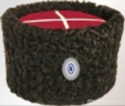 В каких войсках, когда впервые ввели папаху?