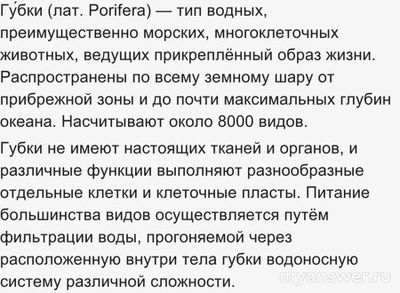 Что является "структурными деталями” морской губки (см)?