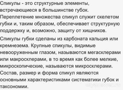 Что является "структурными деталями” морской губки (см)?