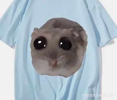 Что означает мем "грустный хомяк"?