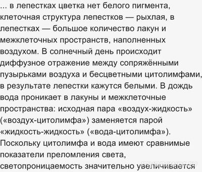 Какой цветок в природе называют «стеклянным»? Почему?