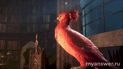 Как звали феникса Альбуса Персиваля Вульфрика Брайна Дамболдора?