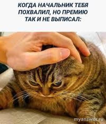 Почему начальники не любят, когда подчиненные указывают на их недостатки?