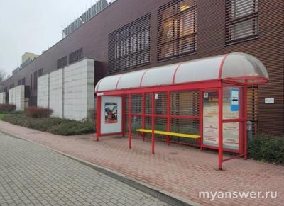 Почему на эту остановку в Варшаве никогда не приедет автобус?