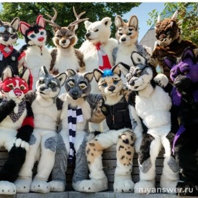 Фурри, что это за вид животных, или это не животные, тогда кто?