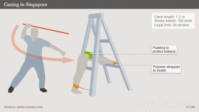 До какой степени раздевают для М и Ж пола при уголовной порке в Сингапуре?