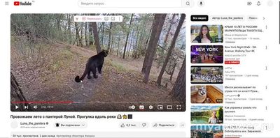 Почему Ютуб прекратил работать в России 2024 недоступен на дом. интернете?