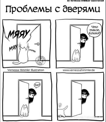 Почему котенок постоянно просится в комнату где спим?