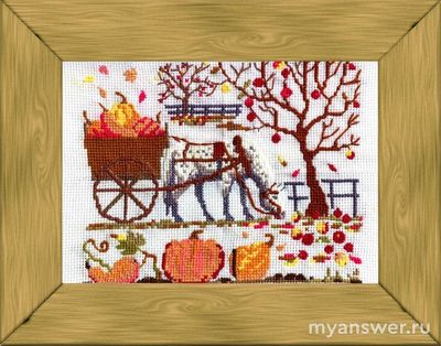 Какие знаки внимания самые важные в жизни, почему?