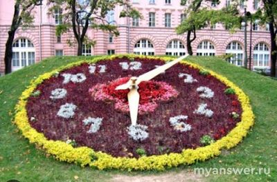 Какой фактор определял открытие и закрытие цветков клумбы Линнея?