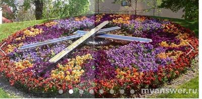 Какой фактор определял открытие и закрытие цветков клумбы Линнея?