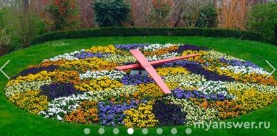 Какой фактор определял открытие и закрытие цветков клумбы Линнея?