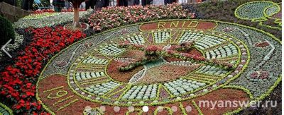 Какой фактор определял открытие и закрытие цветков клумбы Линнея?