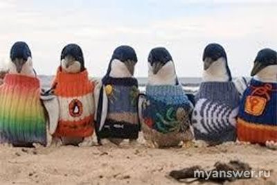 Чем занимался Альфред Дейт, официально признанный самым старым жителем?