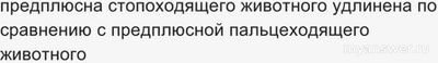 Пальцеходящие, но не фалангоходящие — каких животных выбрать из списка?