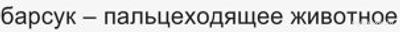 Пальцеходящие, но не фалангоходящие — каких животных выбрать из списка?